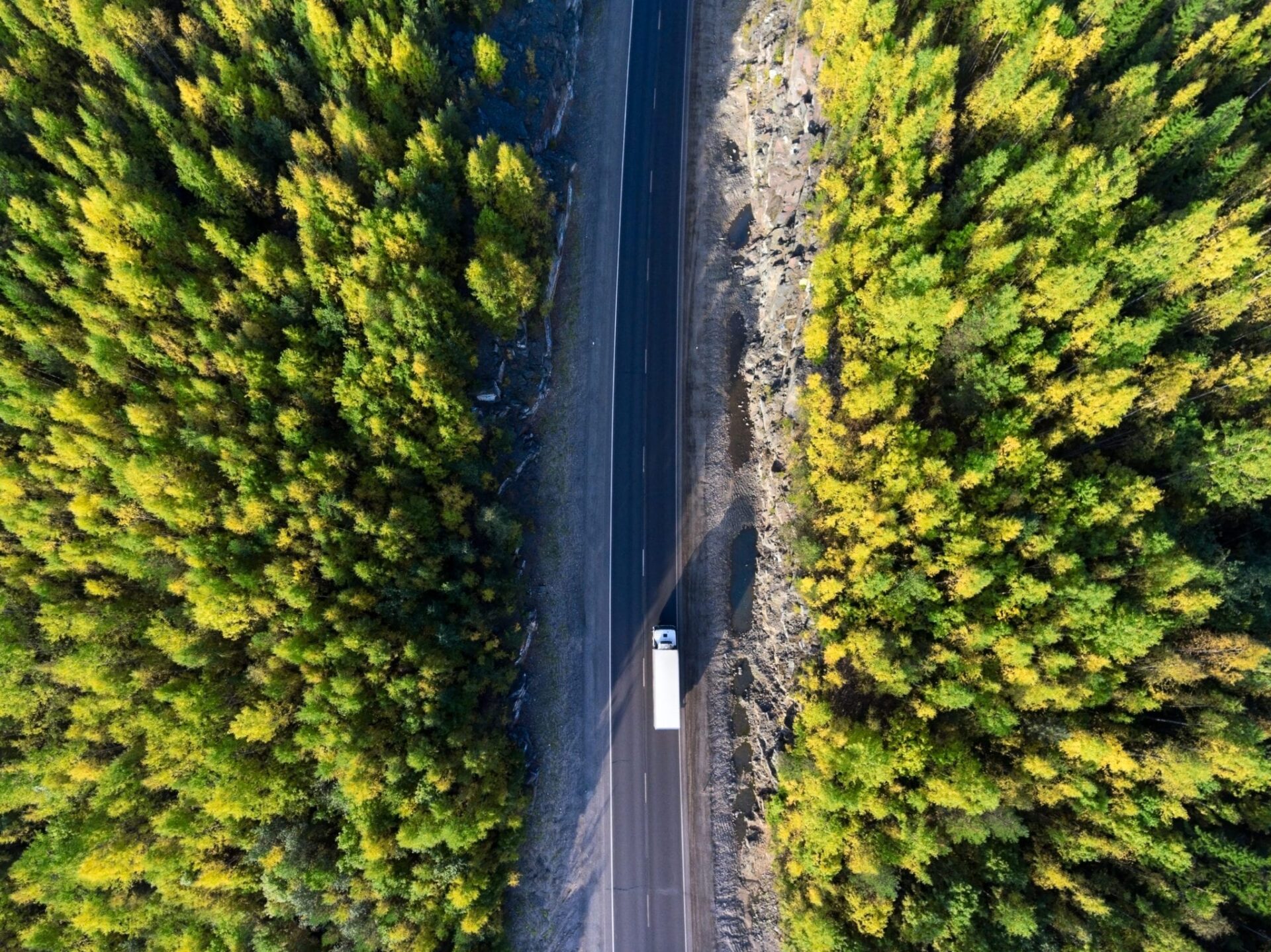 Lastbilstransport genom grön skog